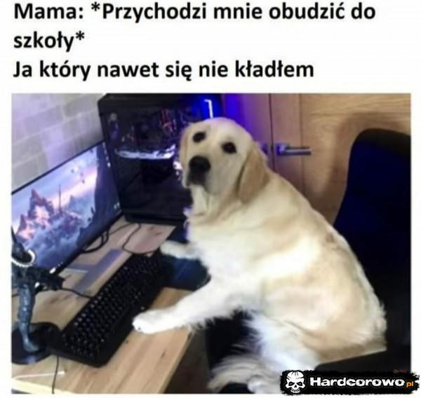 - 1