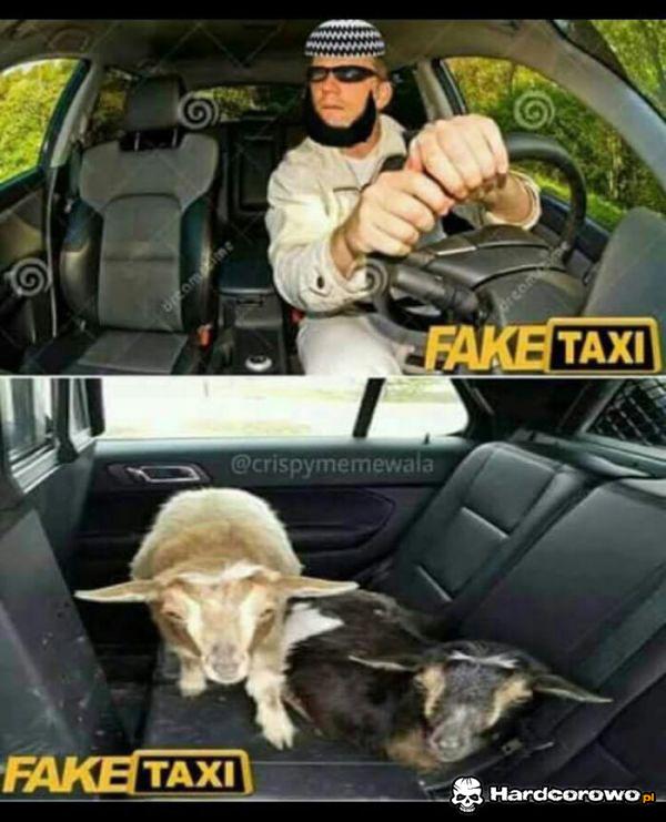 Fake taxi - 1