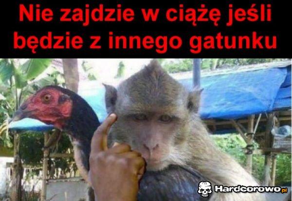 Protip - 1