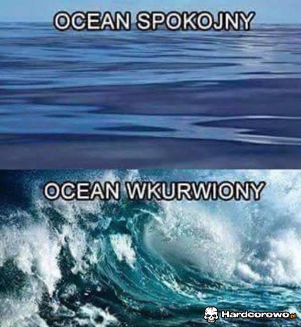 Oceany - 1