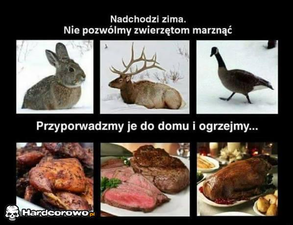 Ogrzewajcie zwierzęta - 1