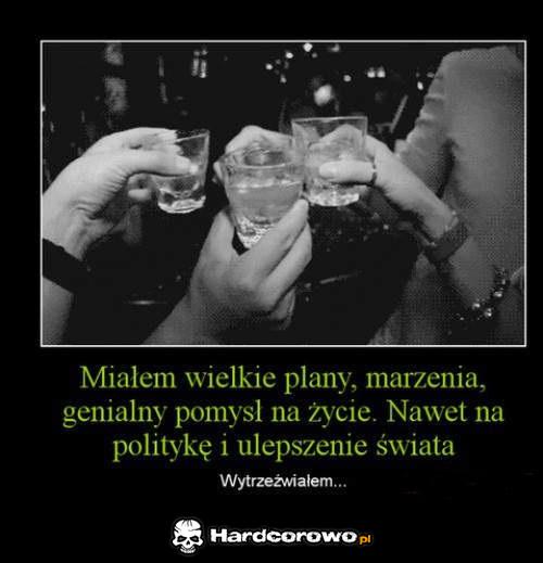 Miałem wielkie plany - 1