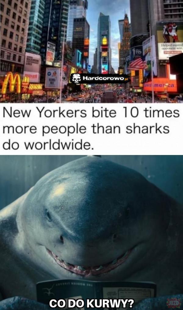  - 1