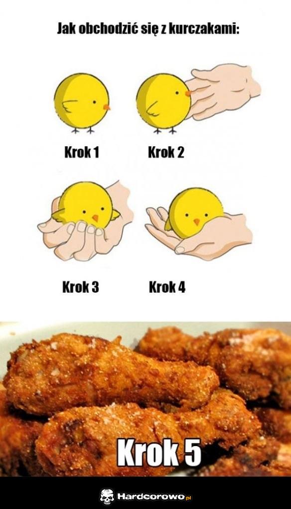 Kurczaczek - 1