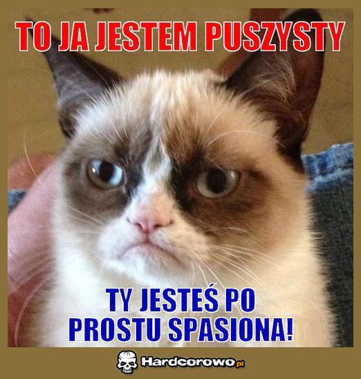 Puszysty - 1