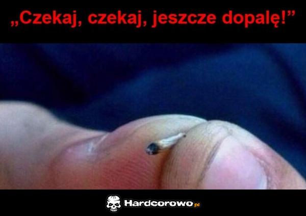 Czekaj czekaj - 1