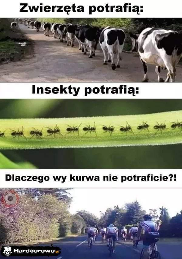  - 1