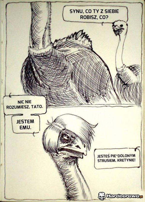 Struś Emu - 1