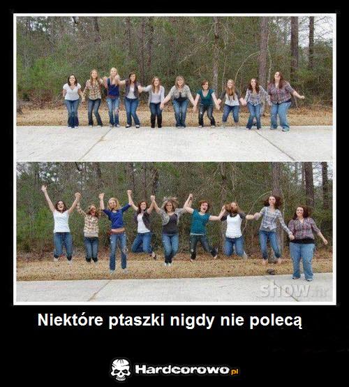 Niektóre ptaszki nigdy nie polecą - 1