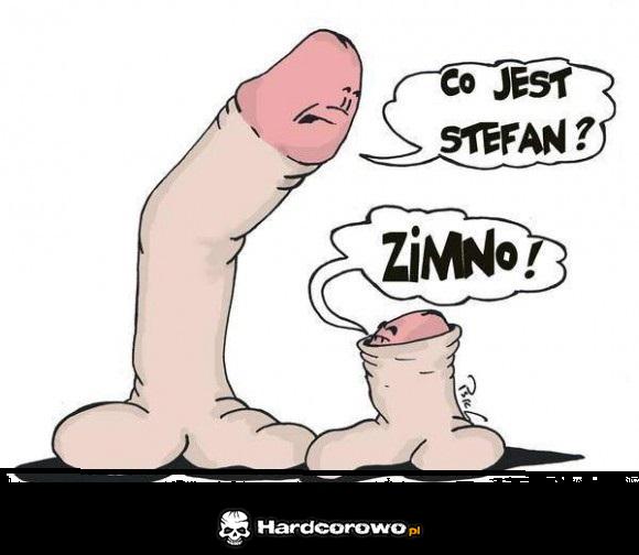 Co jest Stefan? - 1