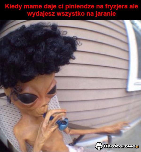 Jaranie - 1