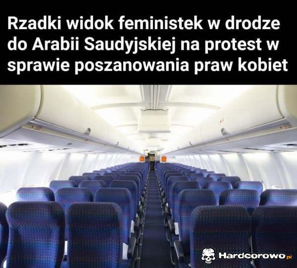 Feministki - 1