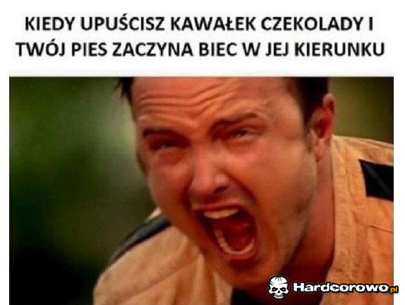 Kiedy upuścisz kawałek czekolady - 1