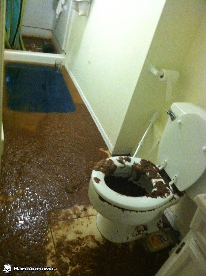 Wybiło z kibelka - 1