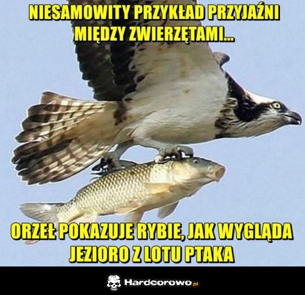 Piękna przyjaźń - 1