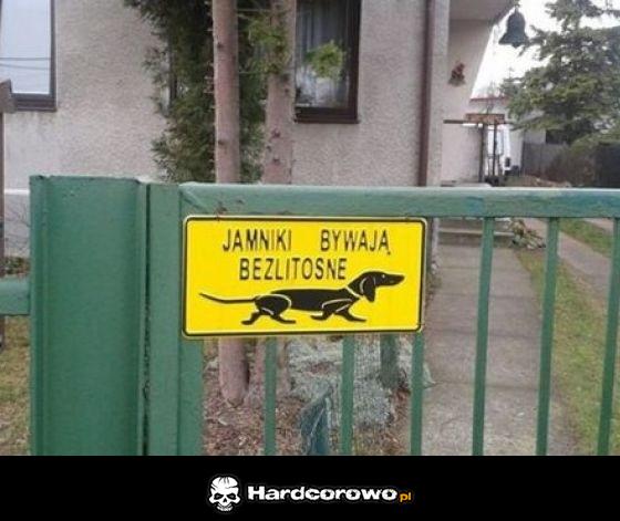 Jamniki bywają bezlitosne - 1