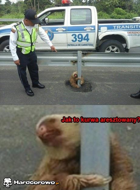 Jak to? - 1