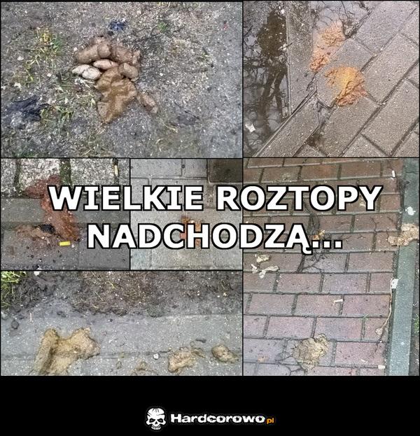 Wielkie roztopy nadchodzą - 1