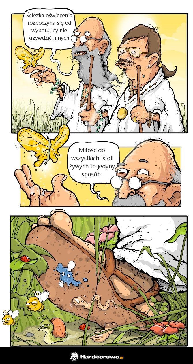 Ścieżka oświecenia  - 1