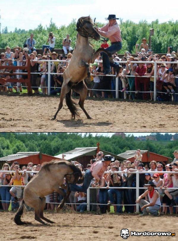 Walka na Rodeo - 1
