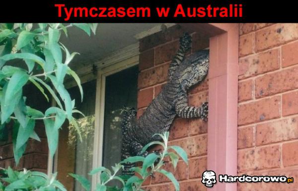 Australia - 1