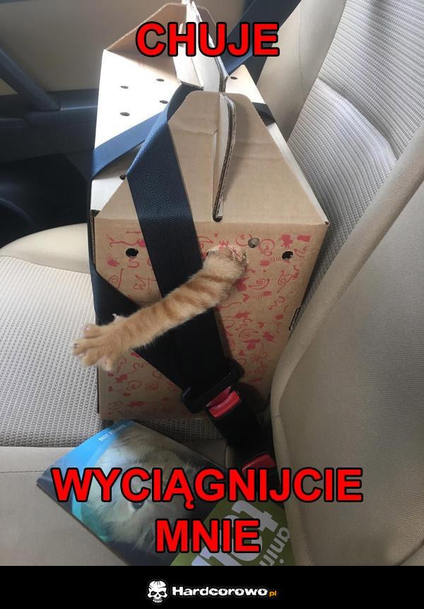 Wyciągnijcie mnie - 1