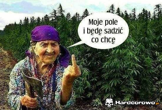 Moje pole - 1