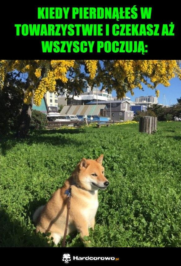 Tak to wygląda - 1