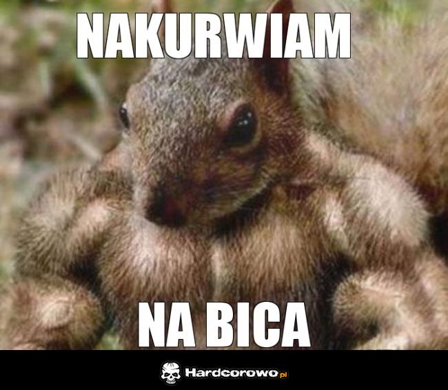 Nakurwiam na bica - 1