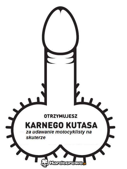 Karny kutas - 1