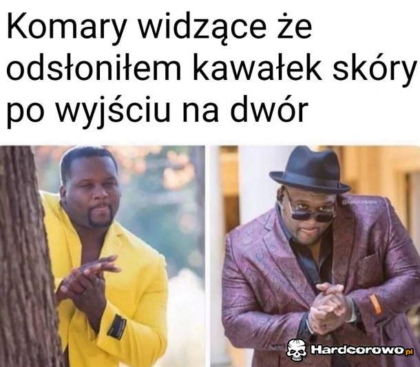 Komary - 1