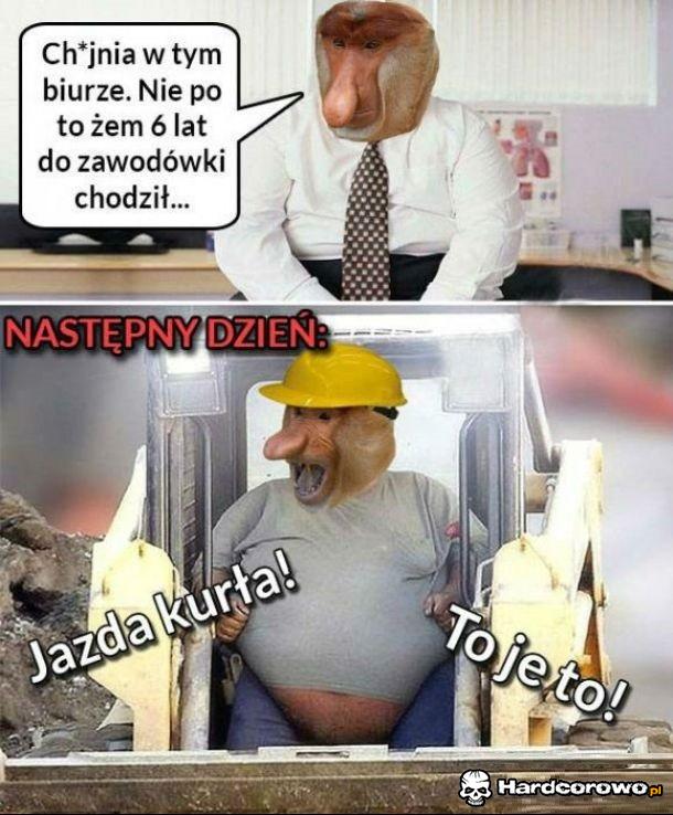 Janusz wreszcie zadowolony - 1