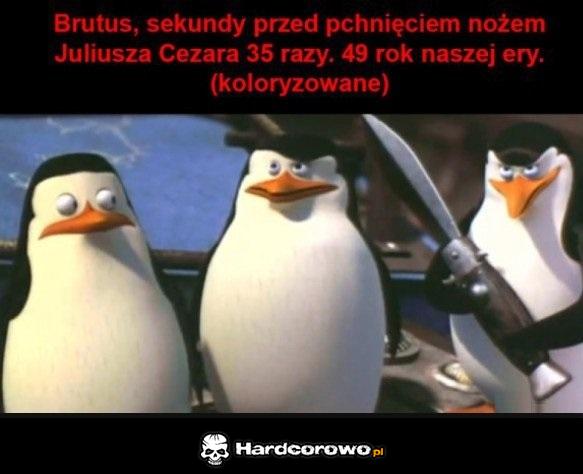 Historyczne zdjęcie - 1