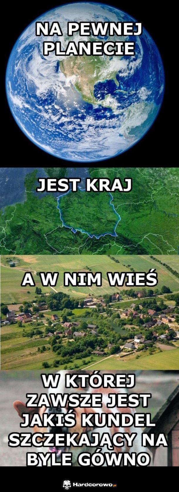 Zawsze jest gdzieś taki kundel - 1