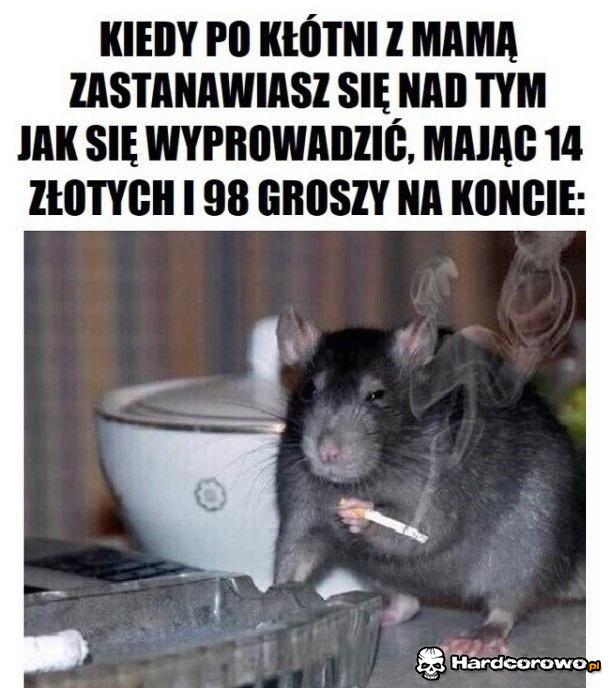 Nie ma lekko - 1