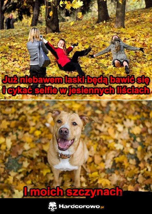 Jesień - 1