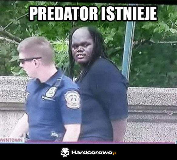 Predator - 1