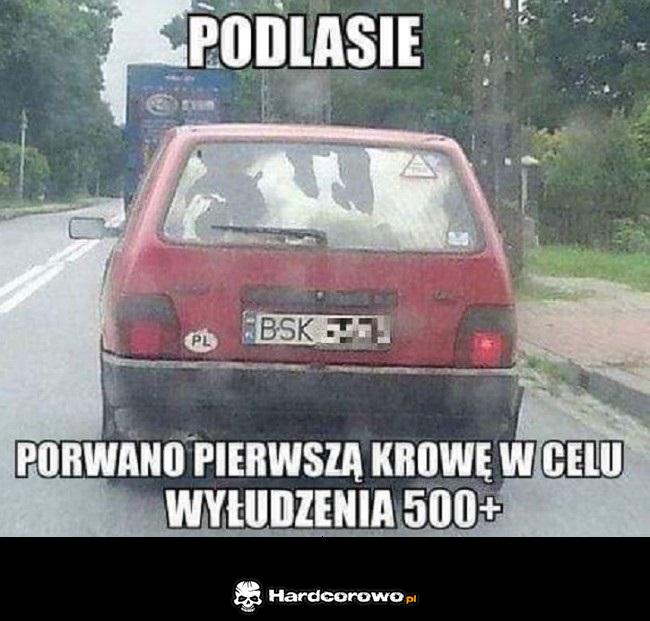 Tymczasem na Podlasiu - 1