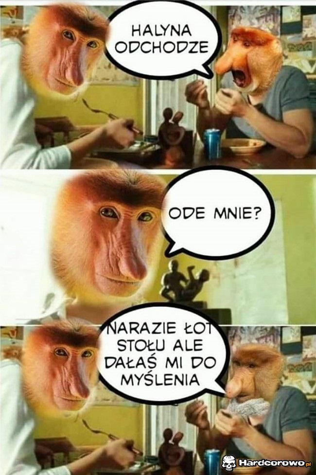 Halinka się wkopała - 1