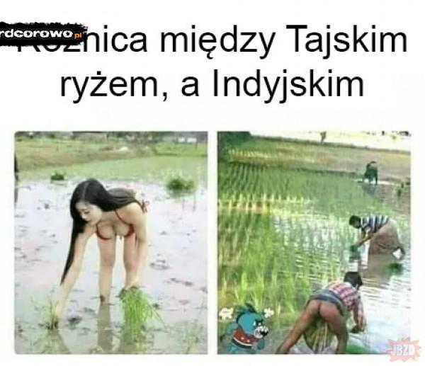  - 1