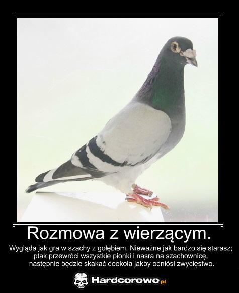 Rozmowa z wierzącym - 1