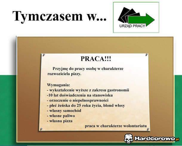 Urząd pracy - 1