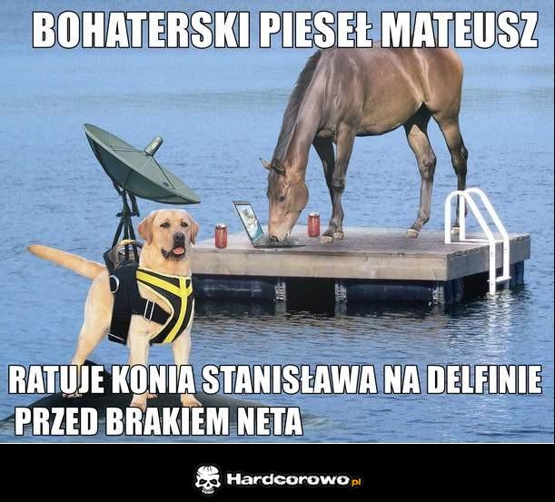 Bohaterski pieseł - 1