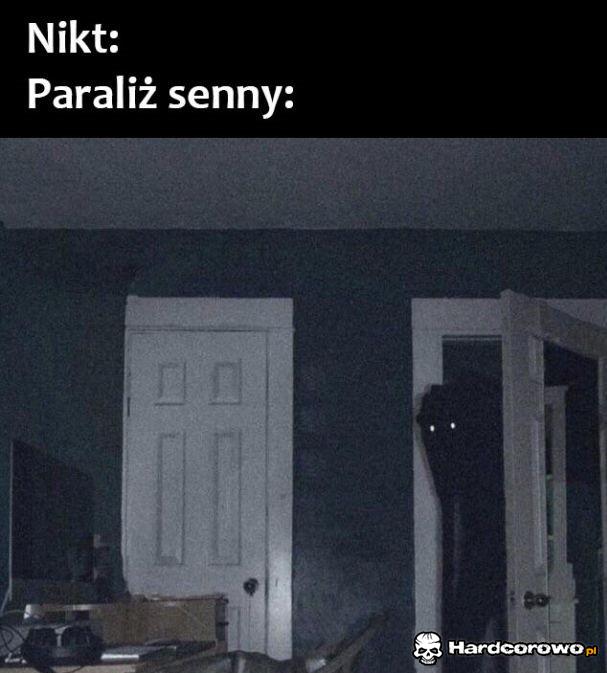 Paraliż senny - 1