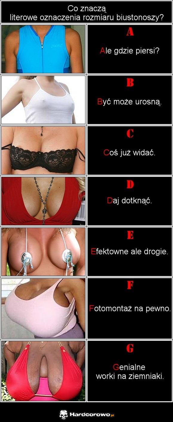 Co znaczą - 1