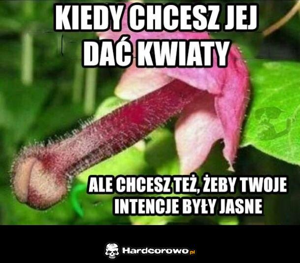 Niech se nie myśli - 1