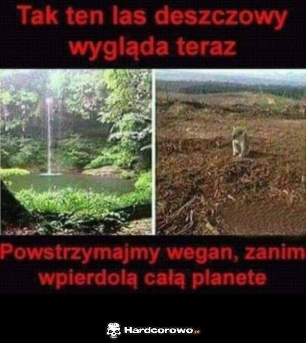 Weganie - 1