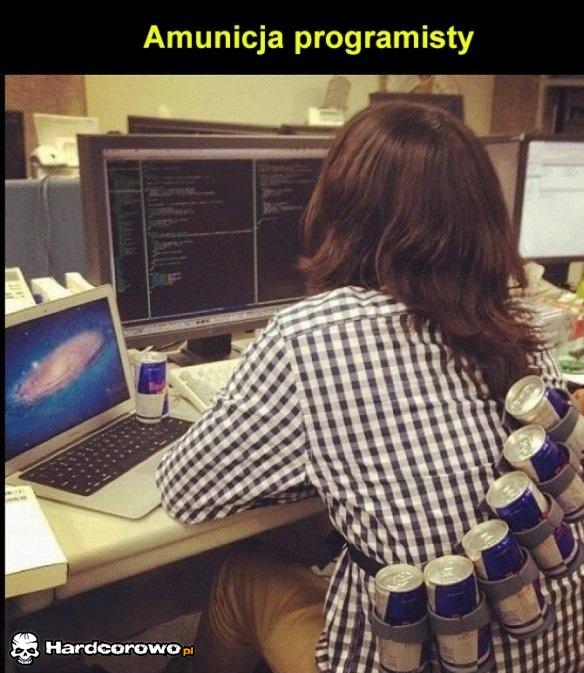 Programista - 1