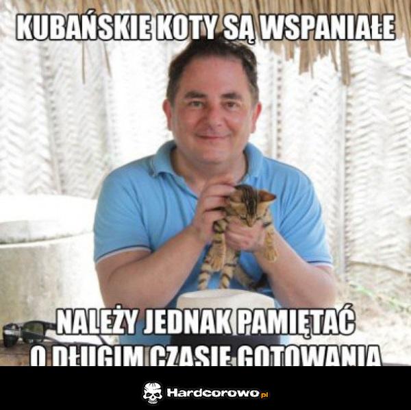 Kubańskie koty - 1