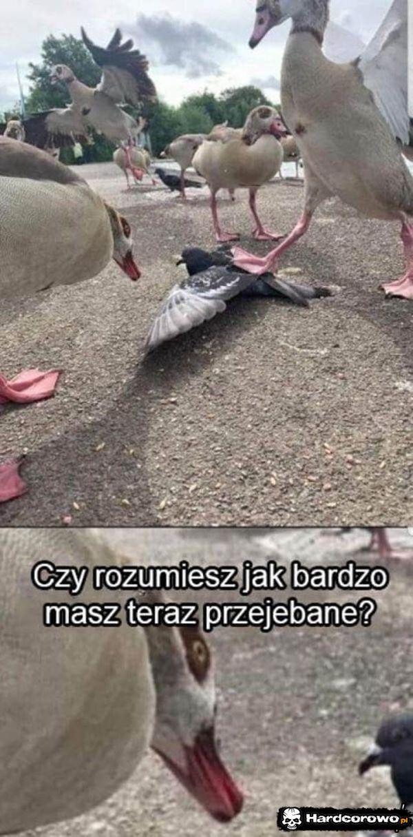  - 1